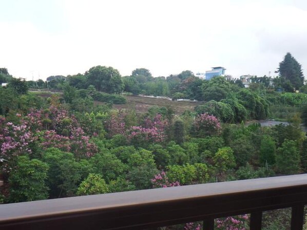 ドミール羽沢Aの物件内観写真